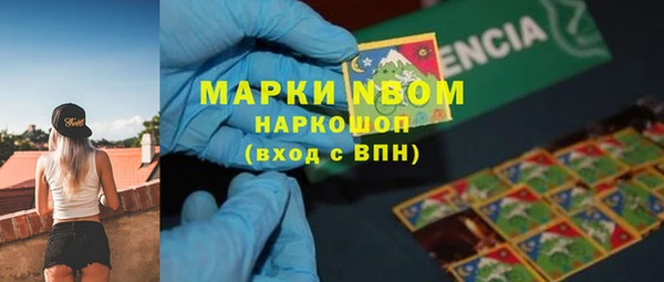 ГАЛЛЮЦИНОГЕННЫЕ ГРИБЫ Осташков