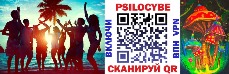 сколько стоит  Вязьма  kraken   Псилоцибиновые грибы GOLDEN TEACHER 