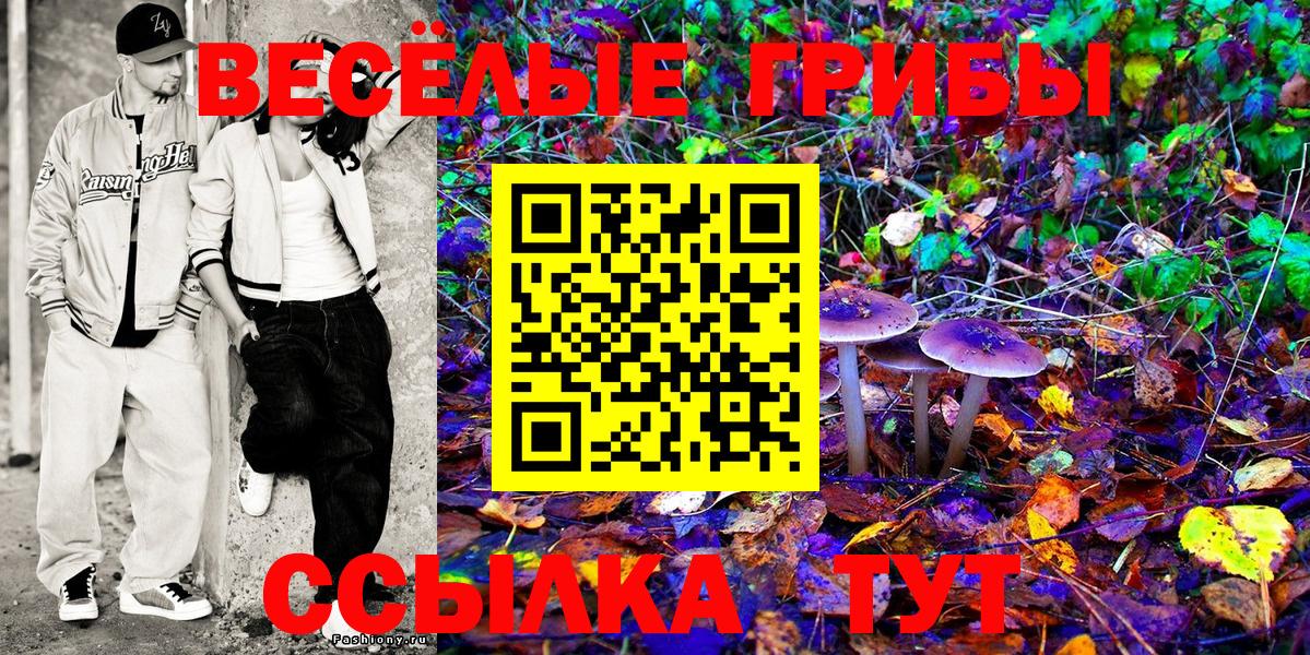 Псилоцибиновые грибы GOLDEN TEACHER Вязьма