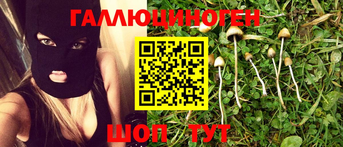 Псилоцибиновые грибы мухоморы  Вход с VPN  наркошоп  Вязьма 