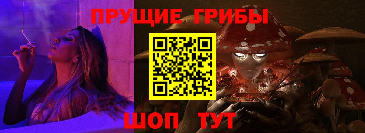 Псилоцибиновые грибы Psilocybine cubensis  Псилоцибиновые грибы Psilocybe  Вязьма 