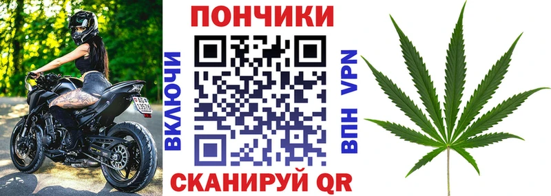 Шишки марихуана сатива  Вязьма 